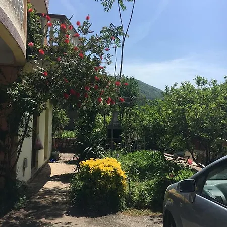 Sunny Hostel