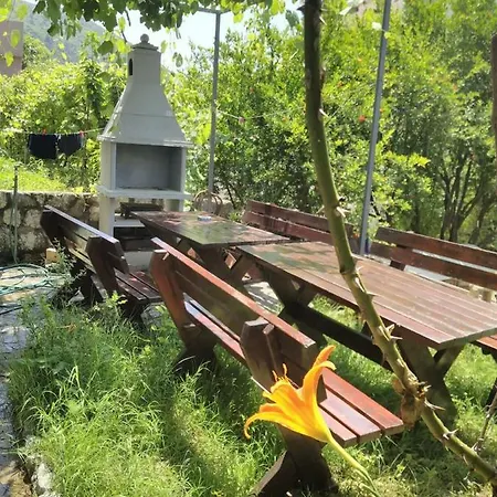 Sunny Hostel